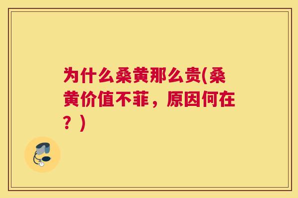 为什么桑黄那么贵(桑黄价值不菲,原因何在?) 为什么桑黄那么贵(桑黄价值不菲,原因何在?)