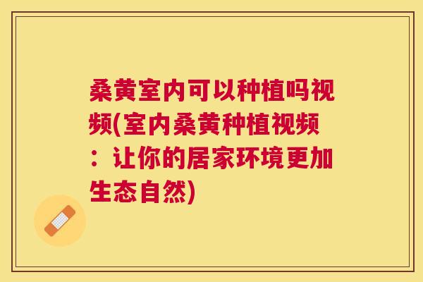 桑黄室内可以种植吗视频(室内桑黄种植视频：让你的居家环境更加生态自然)