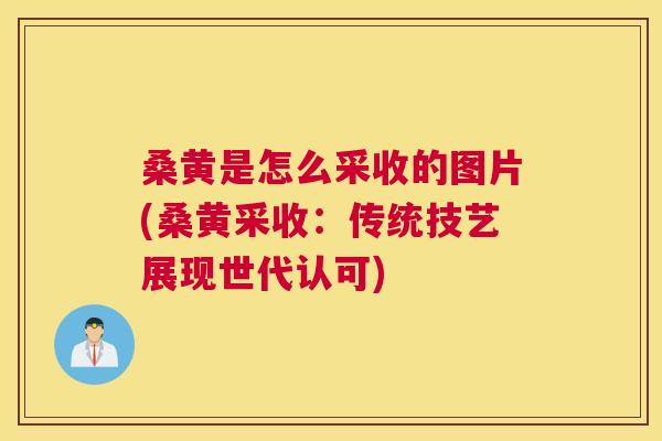 桑黄是怎么采收的图片(桑黄采收：传统技艺展现世代认可)