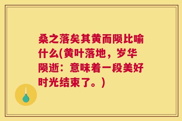 桑之落矣其黄而陨比喻什么(黄叶落地，岁华陨逝：意味着一段美好时光结束了。)