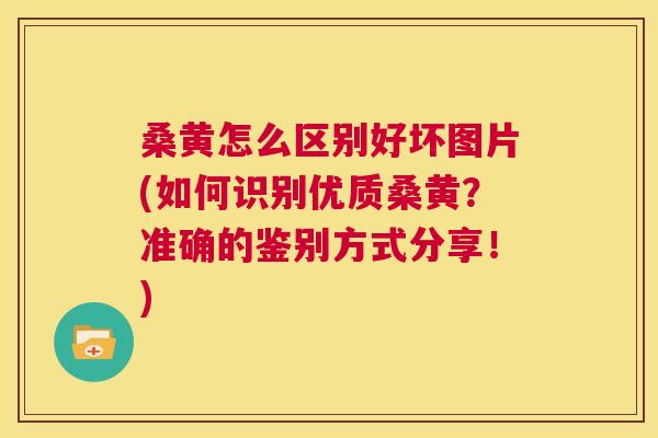 桑黄怎么区别好坏图片(如何识别优质桑黄？准确的鉴别方式分享！)