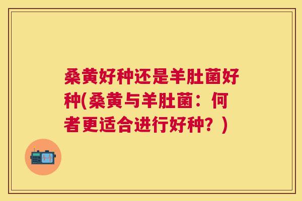 桑黄好种还是羊肚菌好种(桑黄与羊肚菌：何者更适合进行好种？)