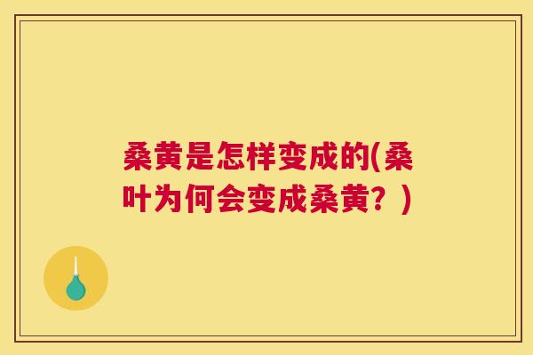 桑黄是怎样变成的(桑叶为何会变成桑黄？)