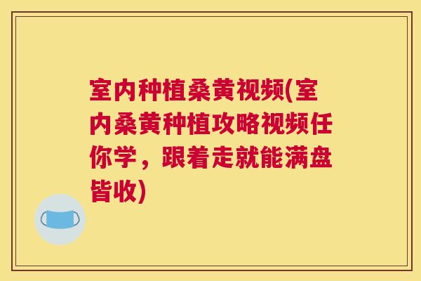 室内种植桑黄视频(室内桑黄种植攻略视频任你学，跟着走就能满盘皆收)