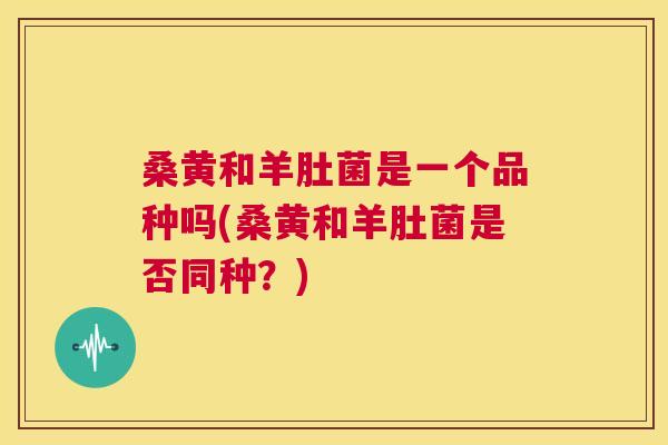 桑黄和羊肚菌是一个品种吗(桑黄和羊肚菌是否同种？)