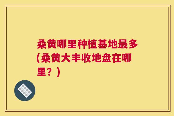 桑黄哪里种植基地多(桑黄大丰收地盘在哪里？)