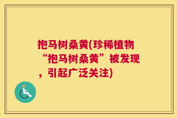 抱马树桑黄(珍稀植物“抱马树桑黄”被发现，引起广泛关注)