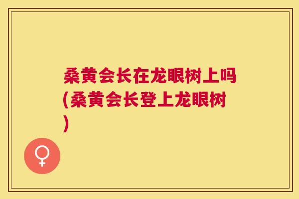 桑黄会长在龙眼树上吗(桑黄会长登上龙眼树)