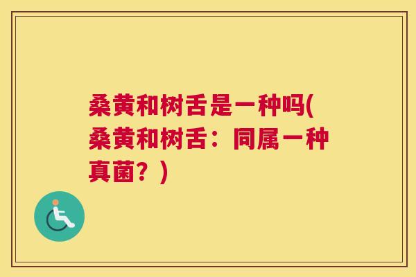 桑黄和树舌是一种吗(桑黄和树舌：同属一种真菌？)