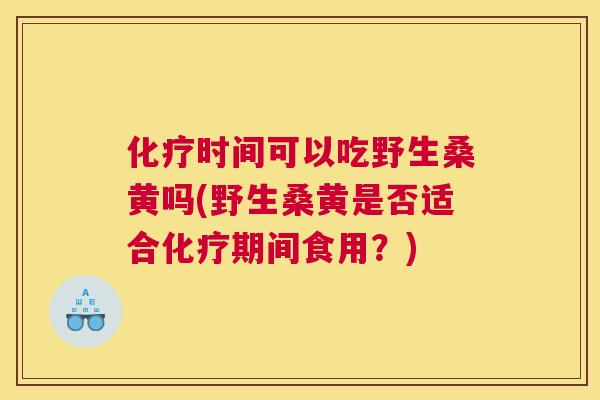 时间可以吃野生桑黄吗(野生桑黄是否适合期间食用？)
