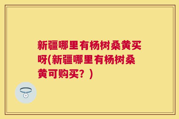 新疆哪里有杨树桑黄买呀(新疆哪里有杨树桑黄可购买？)