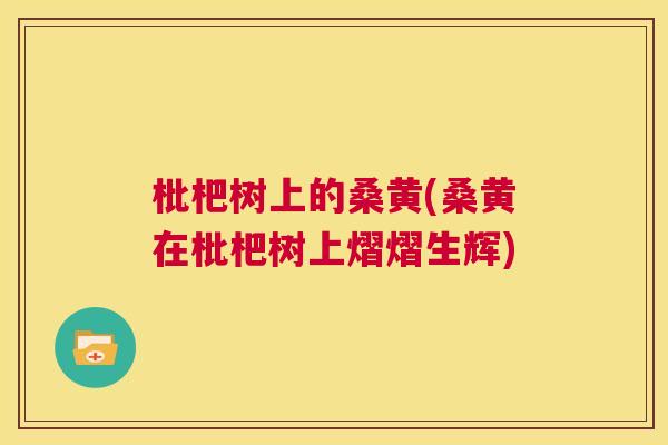 枇杷树上的桑黄(桑黄在枇杷树上熠熠生辉)