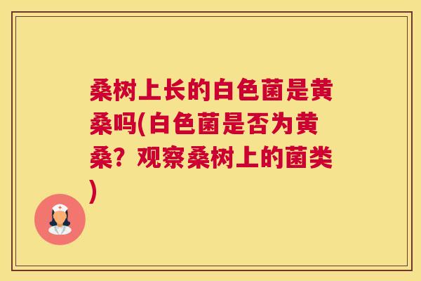 桑树上长的白色菌是黄桑吗(白色菌是否为黄桑？观察桑树上的菌类)