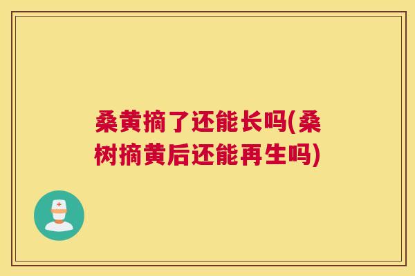 桑黄摘了还能长吗(桑树摘黄后还能再生吗)