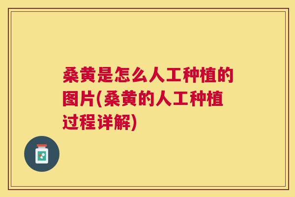 桑黄是怎么人工种植的图片(桑黄的人工种植过程详解)