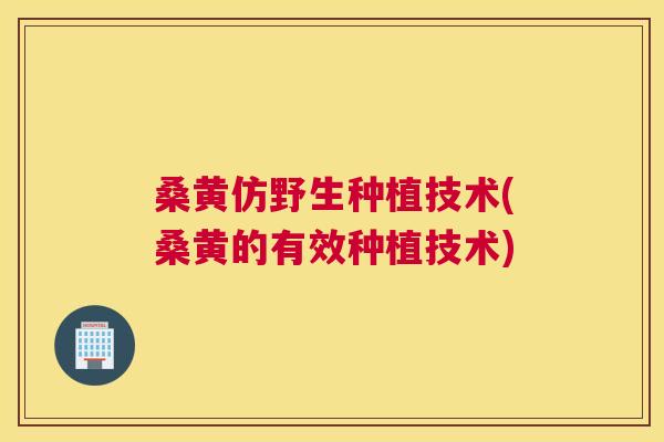 桑黄仿野生种植技术(桑黄的有效种植技术)