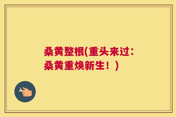 桑黄整根(重头来过：桑黄重焕新生！)