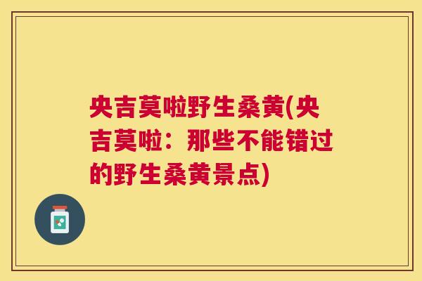 央吉莫啦野生桑黄(央吉莫啦：那些不能错过的野生桑黄景点)