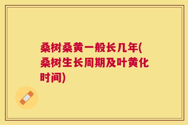 桑树桑黄一般长几年(桑树生长周期及叶黄化时间)