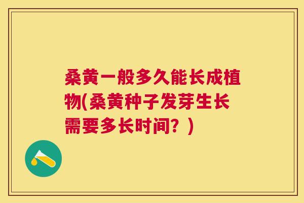 桑黄一般多久能长成植物(桑黄种子发芽生长需要多长时间？)