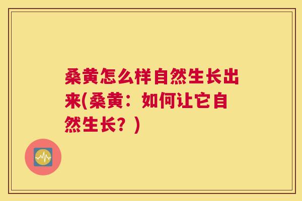 桑黄怎么样自然生长出来(桑黄：如何让它自然生长？)