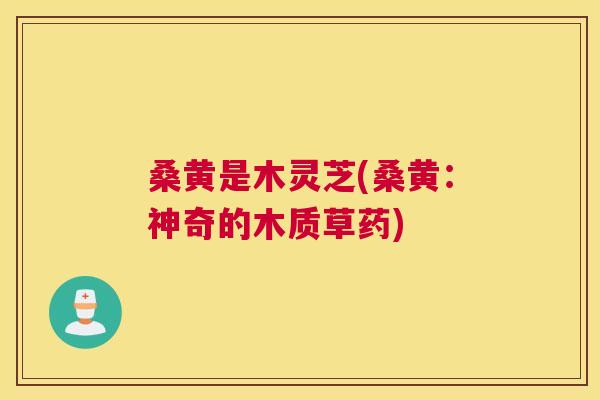桑黄是木灵芝(桑黄:神奇的木质草药) 桑黄是木灵芝(桑黄:神奇的木质草药)