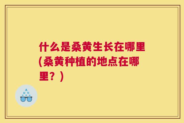什么是桑黄生长在哪里(桑黄种植的地点在哪里？)