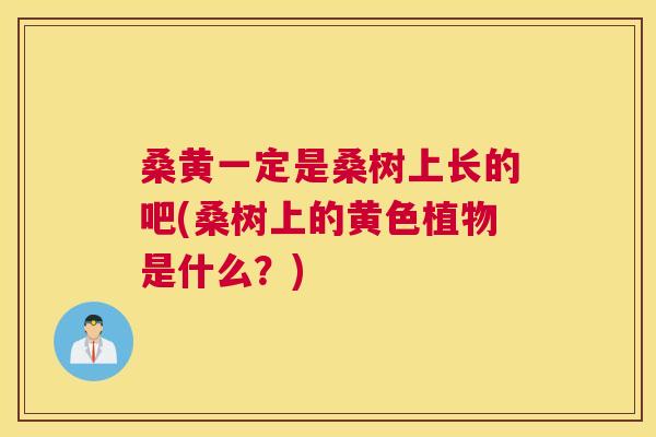 桑黄一定是桑树上长的吧(桑树上的黄色植物是什么?) 桑黄一定是桑树上长的吧(桑树上的黄色植物是什么?)