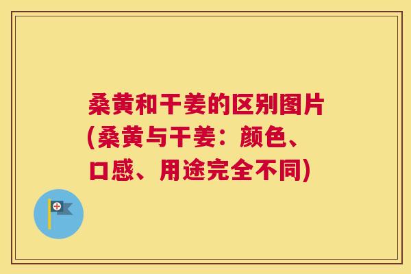 桑黄和干姜的区别图片(桑黄与干姜:颜色、口感、用途完全不同) 桑黄和干姜的区别图片(桑黄与干姜:颜色、口感、用途完全不同)