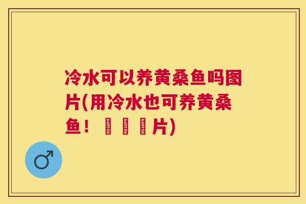 冷水可以养黄桑鱼吗图片(用冷水也可养黄桑鱼!詳見圖片) 冷水可以养黄桑鱼吗图片(用冷水也可养黄桑鱼!詳見圖片)