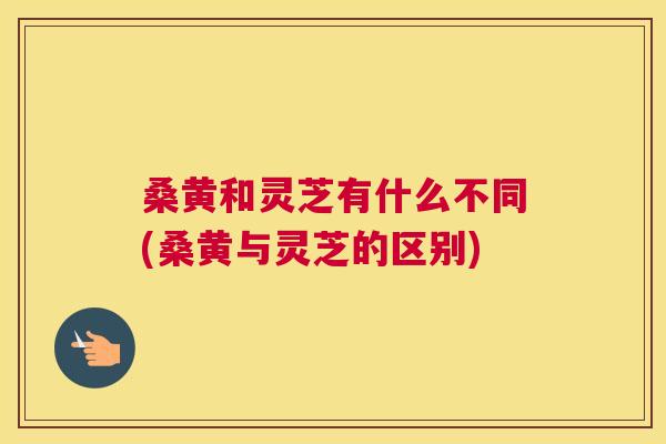 桑黄和灵芝有什么不同(桑黄与灵芝的区别) 桑黄和灵芝有什么不同(桑黄与灵芝的区别)