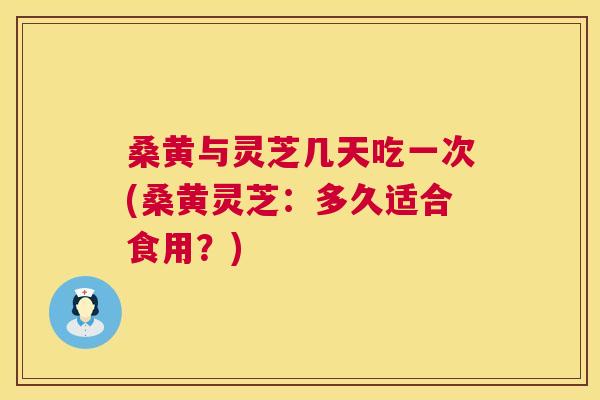 桑黄与灵芝几天吃一次(桑黄灵芝:多久适合食用?) 桑黄与灵芝几天吃一次(桑黄灵芝:多久适合食用?)