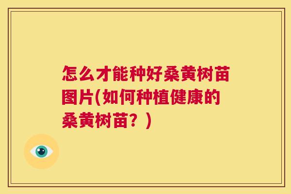 怎么才能种好桑黄树苗图片(如何种植健康的桑黄树苗?) 怎么才能种好桑黄树苗图片(如何种植健康的桑黄树苗?)