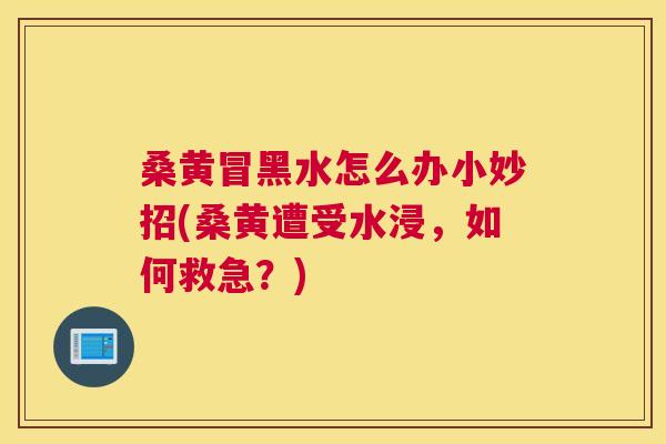 桑黄冒黑水怎么办小妙招(桑黄遭受水浸，如何救急？)