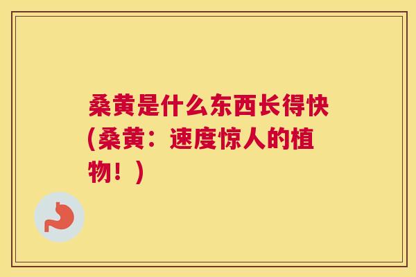 桑黄是什么东西长得快(桑黄:速度惊人的植物!) 桑黄是什么东西长得快(桑黄:速度惊人的植物!)