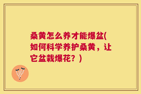 桑黄怎么养才能爆盆(如何科学养护桑黄,让它盆栽爆花?) 桑黄怎么养才能爆盆(如何科学养护桑黄,让它盆栽爆花?)