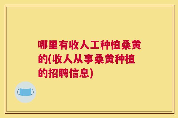 哪里有收人工种植桑黄的(收人从事桑黄种植的招聘信息)