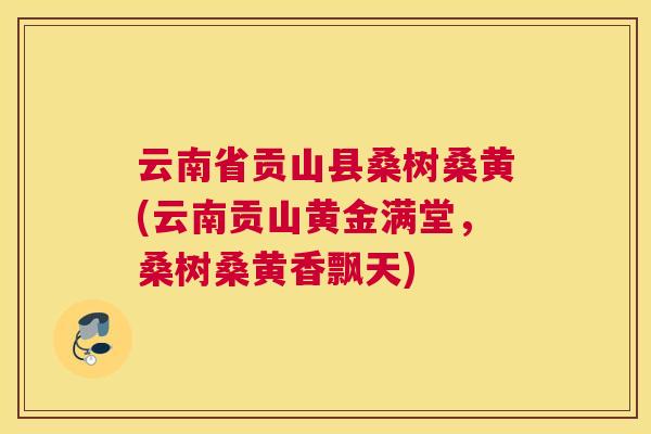 云南省贡山县桑树桑黄(云南贡山黄金满堂,桑树桑黄香飘天) 云南省贡山县桑树桑黄(云南贡山黄金满堂,桑树桑黄香飘天)