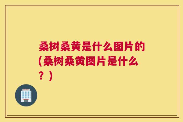 桑树桑黄是什么图片的(桑树桑黄图片是什么?) 桑树桑黄是什么图片的(桑树桑黄图片是什么?)