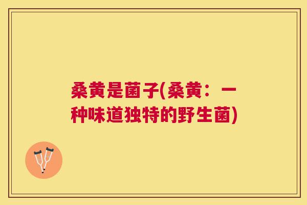 桑黄是菌子(桑黄:一种味道独特的野生菌) 桑黄是菌子(桑黄:一种味道独特的野生菌)