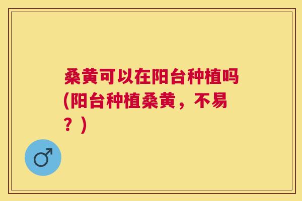桑黄可以在阳台种植吗(阳台种植桑黄,不易?) 桑黄可以在阳台种植吗(阳台种植桑黄,不易?)