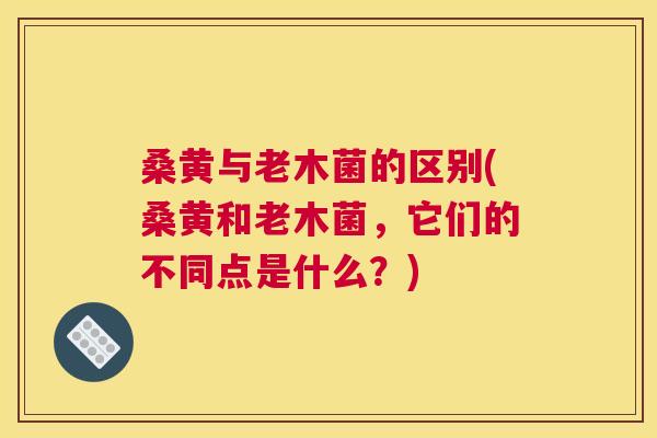 桑黄与老木菌的区别(桑黄和老木菌,它们的不同点是什么?) 桑黄与老木菌的区别(桑黄和老木菌,它们的不同点是什么?)