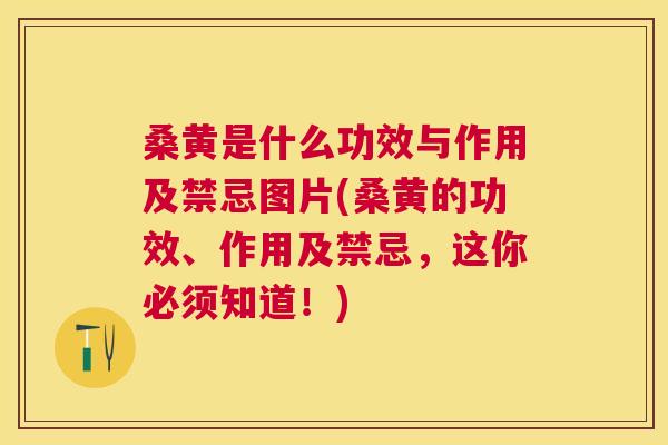 桑黄是什么功效与作用及禁忌图片(桑黄的功效、作用及禁忌,这你必须知道!) 桑黄是什么功效与作用及禁忌图片(桑黄的功效、作用及禁忌,这你必须知道!)