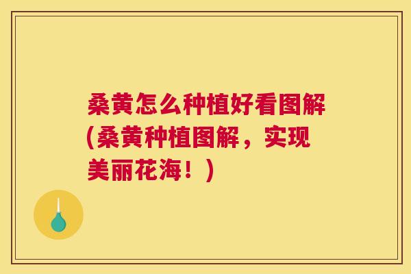 桑黄怎么种植好看图解(桑黄种植图解,实现美丽花海!) 桑黄怎么种植好看图解(桑黄种植图解,实现美丽花海!)