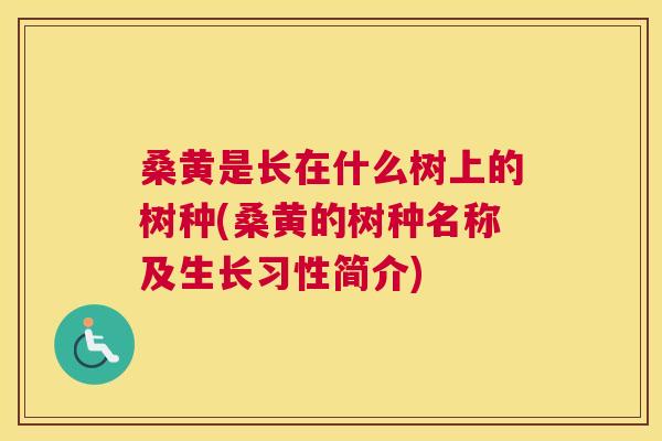 桑黄是长在什么树上的树种(桑黄的树种名称及生长习性简介) 桑黄是长在什么树上的树种(桑黄的树种名称及生长习性简介)