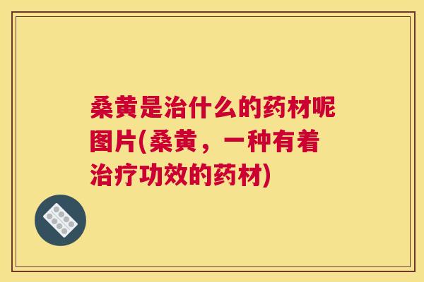 桑黄是什么的药材呢图片(桑黄,一种有着功效的药材) 桑黄是什么的药材呢图片(桑黄,一种有着功效的药材)