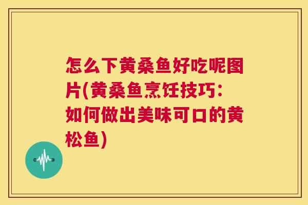 怎么下黄桑鱼好吃呢图片(黄桑鱼烹饪技巧:如何做出美味可口的黄松鱼) 怎么下黄桑鱼好吃呢图片(黄桑鱼烹饪技巧:如何做出美味可口的黄松鱼)
