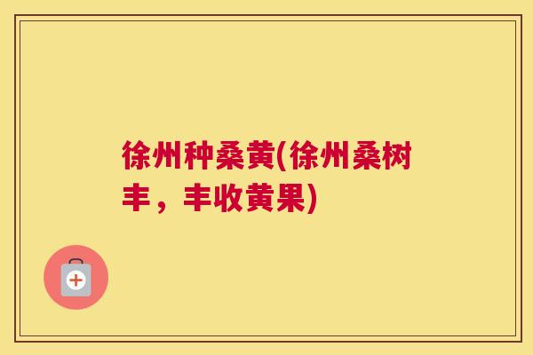 徐州种桑黄(徐州桑树丰,丰收黄果) 徐州种桑黄(徐州桑树丰,丰收黄果)
