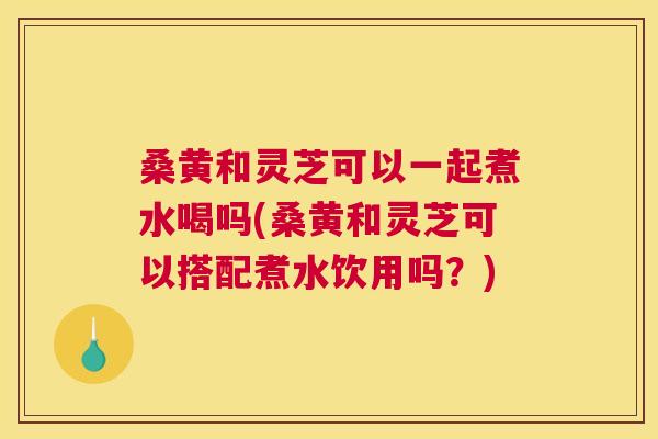 桑黄和灵芝可以一起煮水喝吗(桑黄和灵芝可以搭配煮水饮用吗？)