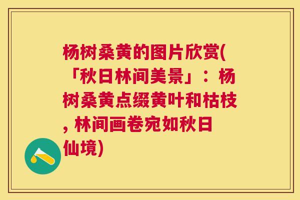 杨树桑黄的图片欣赏(「秋日林间美景」:杨树桑黄点缀黄叶和枯枝, 林间画卷宛如秋日仙境) 杨树桑黄的图片欣赏(「秋日林间美景」:杨树桑黄点缀黄叶和枯枝, 林间画卷宛如秋日仙境)